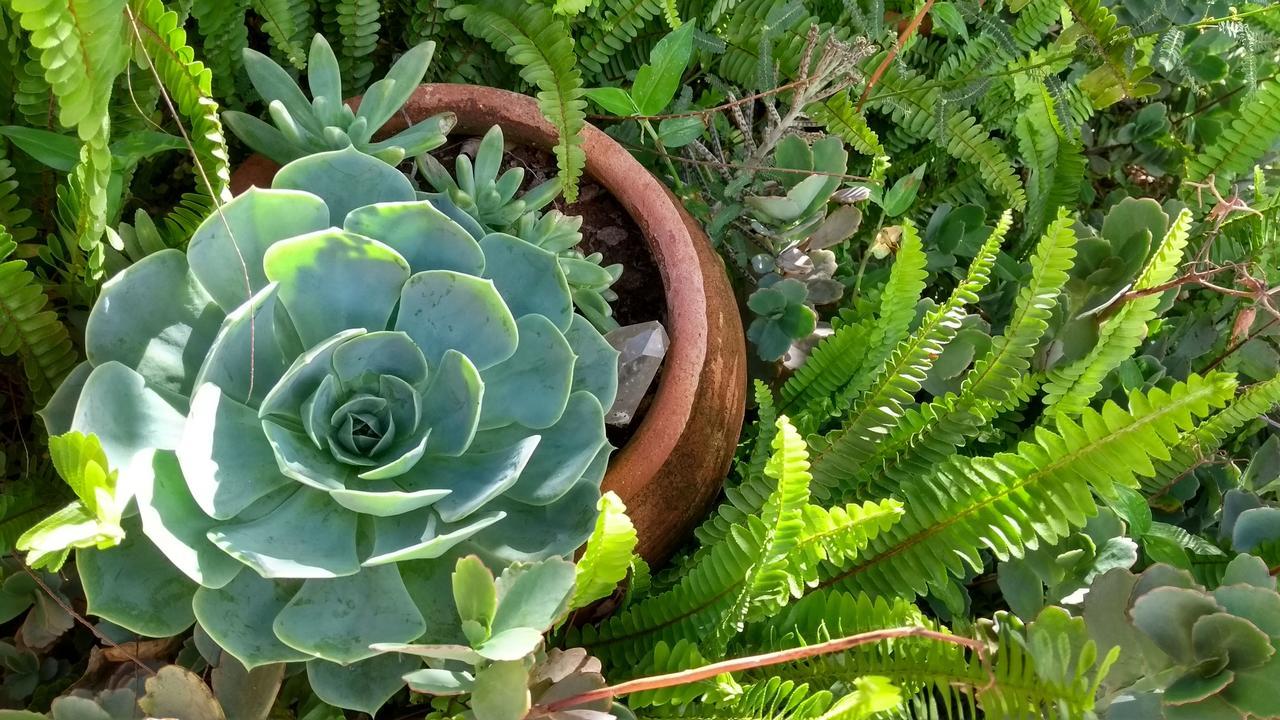 Pousada Refazenda - Milho Verde Dış mekan fotoğraf